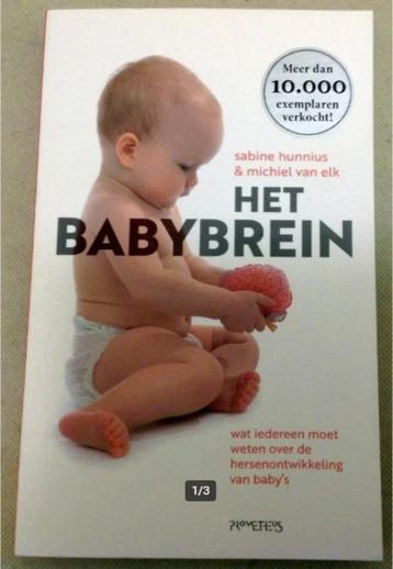 Het Babybrein over de hersenontwikkeling van baby's beschikbaar voor biedingen