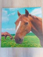 Paarden poster op canvas, Huis en Inrichting, Woonaccessoires | Schilderijen, Tekeningen en Foto's, Foto of Poster, Gebruikt, Ophalen of Verzenden
