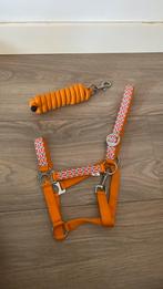 Halster en halstertouw, Dieren en Toebehoren, Paarden en Pony's | Hoofdstellen en Tuigage, Ophalen of Verzenden, Zo goed als nieuw