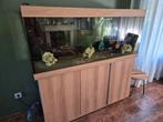 Juwel rio 450 incl discu vissen en pompen, Ophalen of Verzenden, Gevuld zoetwateraquarium
