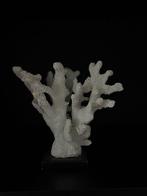 Decoratie Richmond, Ophalen of Verzenden, Zo goed als nieuw, Overige materialen, Minder dan 25 cm