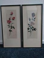 Etsen, bloemen, Antiek en Kunst, Kunst | Etsen en Gravures, Ophalen of Verzenden