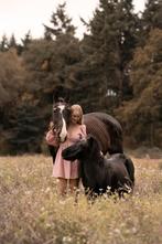 Vezorg/lease/bruikleen pony aangeboden, Dieren en Toebehoren, Stalling en Weidegang