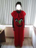 carnavalskleding, Kleding | Dames, Carnavalskleding en Feestkleding, Ophalen, Gedragen, Maat 46/48 (XL) of groter, Carnaval