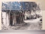 ansichtkaarten culemborg, Verzamelen, Ansichtkaarten | Nederland, Ophalen of Verzenden, 1940 tot 1960, Ongelopen, Gelderland