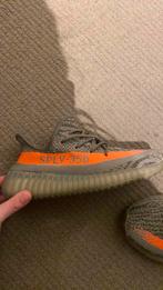 Yeezy maat 39 1/3, Ophalen of Verzenden, Nieuw, Sneakers of Gympen
