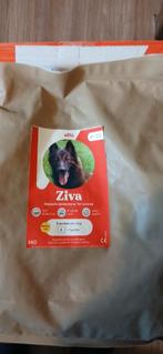 Just russel hypoallergeen met zalm, Dieren en Toebehoren, Ophalen of Verzenden, Hond