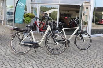 Stella Livorno l 53cm l Heren & Dames l SETPRIJS beschikbaar voor biedingen