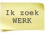 Gezocht werk, 33 - 40 uur, Vanaf 10 jaar, Overige vormen