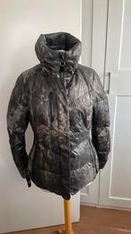 C,Cence Alpini skijas, Overige merken, 100 tot 140 cm, Ophalen of Verzenden, Zo goed als nieuw