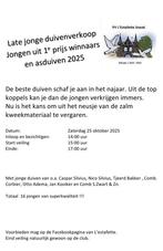 Late jonge duivenverkoop Sneek, Dieren en Toebehoren, Meerdere dieren, Postduif