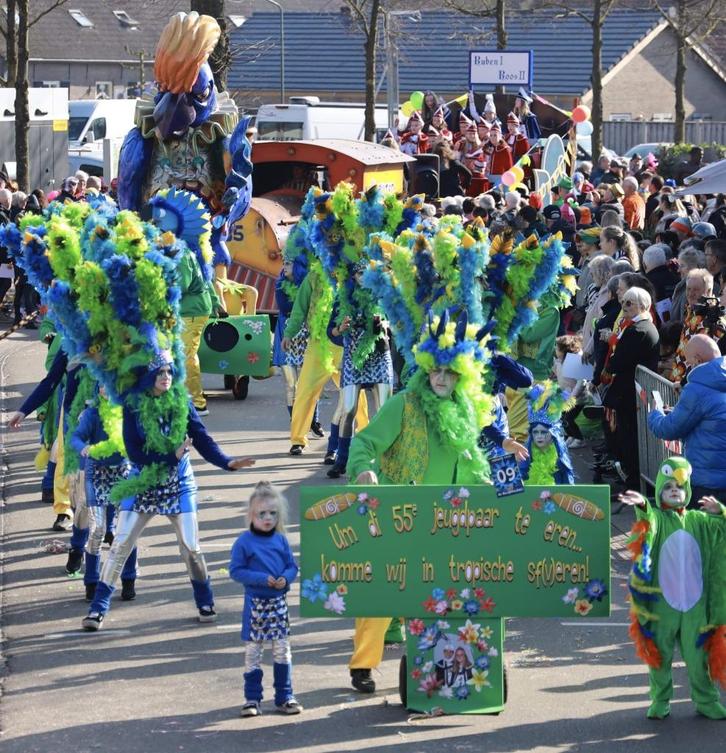 loopgroep carnaval kleurrijk 1e prijs, Kleding | Dames, Carnavalskleding en Feestkleding, Gedragen, Kleding, Carnaval, Maat 46/48 (XL) of groter
