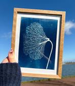 Handmade Cyanotype Art – Especial Home Decor, Ophalen of Verzenden, Nieuw