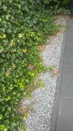 Gratis op te halen grind, Tuin en Terras, Grind, Keien en Split, Ophalen, Gebruikt, Overige materialen
