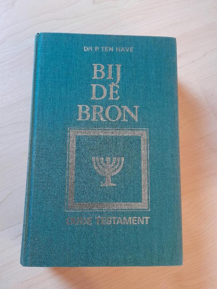 BIJ DE BRON OUDE TESTAMENT P ten Have Ook NIEUWE TESTAMENT, Boeken, Godsdienst en Theologie, Gelezen, Ophalen of Verzenden