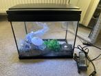 Aquarium & bijbehoren, Dieren en Toebehoren, Ophalen of Verzenden, Zo goed als nieuw, Leeg aquarium