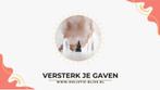GRATIS Versterk je gaven. Biotensor en nei modules, Boeken, Ophalen of Verzenden, Beta, Zo goed als nieuw, HBO