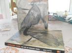 BOEK JEAN CLOTTES-CHAUVET CAVE:THE ART OF EARLIEST TIME., Jean Clottes/Paul Bahn., Ophalen of Verzenden, Zo goed als nieuw, Los deel