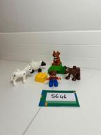 LEGO Duplo Dierenverzorging 5646 - Compleet, Ophalen of Verzenden, Gebruikt, Complete set, Duplo