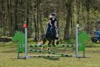 Verzorgpaard aangeboden, Dieren en Toebehoren, Paarden en Pony's | Overige Paardenspullen, Ophalen, Nieuw