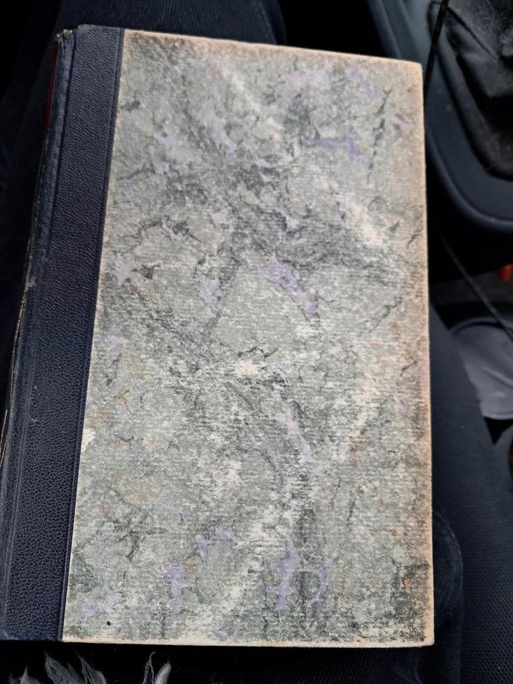 Der Idiot (Duits), Boeken, Overige Boeken, Gelezen, Ophalen of Verzenden