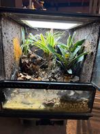 Leuke paludarium Terraruim, Dieren en Toebehoren, Reptielen en Amfibieën | Toebehoren, Ophalen of Verzenden, Zo goed als nieuw