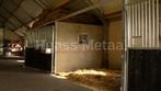 Snuffelluik | Rooster | Tussenwand | Paardenbox | 53, Stalling, 1 paard of pony