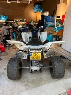 Yamaha raptor 700