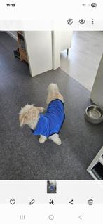 Badjas hond, Dieren en Toebehoren, Ophalen of Verzenden, Gebruikt, Hondenbadjas