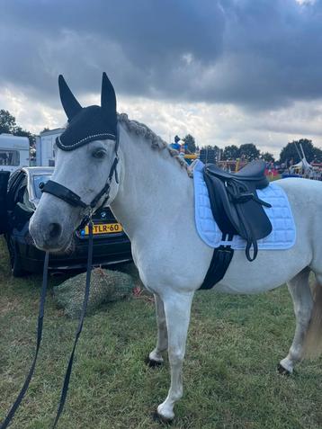 bijrijder gezocht soest beschikbaar voor biedingen