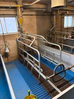 Kraamhok indeling, Dieren en Toebehoren, Schapen, Geiten en Varkens, Meerdere dieren, Schaap