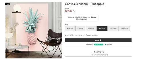 Canvas Schilderij, Antiek en Kunst, Kunst | Schilderijen | Modern, Ophalen