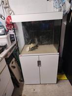 Eheim 200 liter, Dieren en Toebehoren, Ophalen, Leeg aquarium