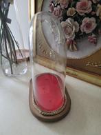 Vintage ovale glazen stolp, Ophalen, Heikant 21 Kaatsheuvel, Belle Vieille Brocante, Zo goed als nieuw