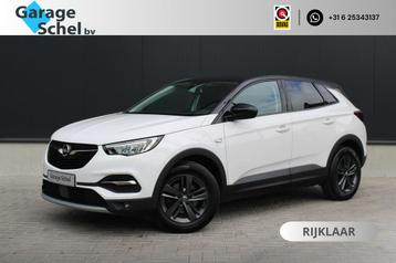 Opel Grandland 1.2 Turbo Business 130pk - LED - Ergostoel -  beschikbaar voor biedingen