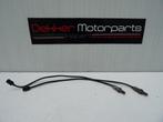Set Lambda Sondes / Lambda sonde Ducati Panigale V2 2020 >, Gebruikt, -, -, Ophalen of Verzenden
