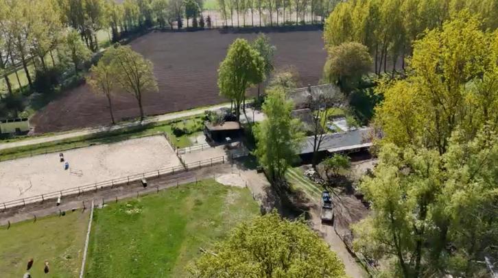Fijn pension / pensioen plekje aangeboden, Dieren en Toebehoren, Stalling en Weidegang, Stalling, Weidegang, 1 paard of pony