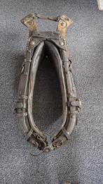 Paardenhaam, Ophalen, Gebruikt, Overige soorten