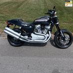 Harley Davidson Chopper XR 1200 2010 org NL 5hd, Chopper, Bedrijf, 1202 cc, Meer dan 35 kW