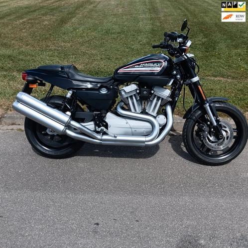 Harley Davidson Chopper XR 1200 2010 org NL 5hd, Motoren, Motoren | Harley-Davidson, Bedrijf, Chopper, meer dan 35 kW