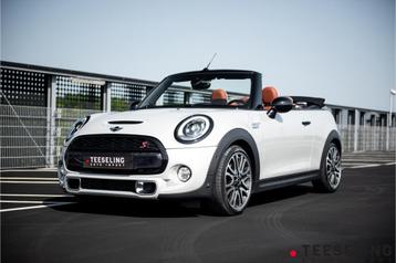 MINI Cabrio 2.0 Cooper S Chili Serious Business | Harman Kar beschikbaar voor biedingen