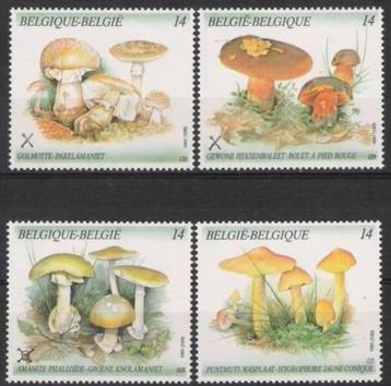 België 1991 - OBP 2418-2421 - Paddenstoelen beschikbaar voor biedingen