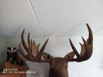 Alaska eland xxl, Verzamelen, Dierenverzamelingen, Ophalen, Zo goed als nieuw, Beeldje of Figuurtje
