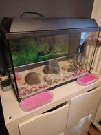 Vissen aquarium + toebehoren, Dieren en Toebehoren, Vissen | Aquaria en Toebehoren, Ophalen, Gebruikt, Leeg aquarium