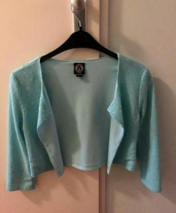 Mooi vest/bolero maat 176 - zo goed als nieuw! beschikbaar voor biedingen