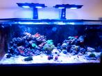 Zeeaquarium, Ophalen, Gebruikt, Gevuld zeewateraquarium