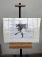 Paard Tekening Ingelijst, Antiek en Kunst, Ophalen