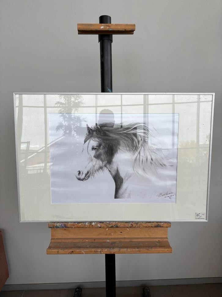 Paard Tekening Ingelijst, Antiek en Kunst, Kunst | Tekeningen en Foto's, Ophalen