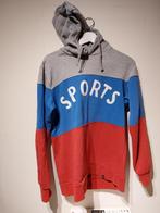 parra vintage hoodie maat M sports, Parra, Gedragen, Maat 48/50 (M), Ophalen of Verzenden