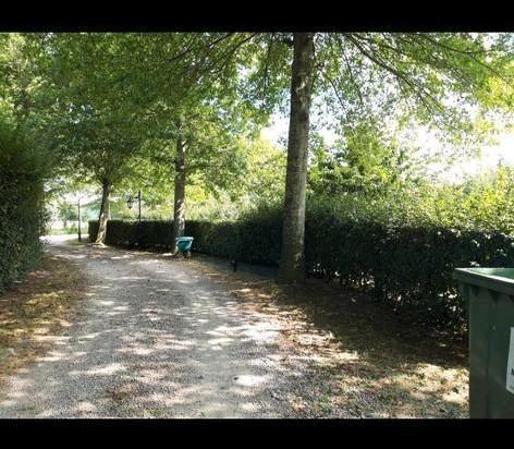 Tuinman / Tuinhulp gezocht? Zoekt u niet verder, Tuin en Terras, Hand-tuingereedschap, Ophalen